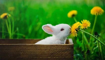 开云体育_ 德甲中场的技术分析：最具影响力的选手，德甲大开大合